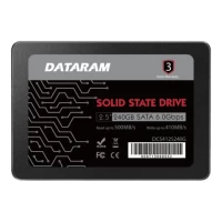 Drive SSD Dataram 