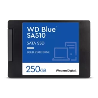 WD BLUE SA510 WDS250G3B0A - SSD - 250 GB - INTERNA - 2.5